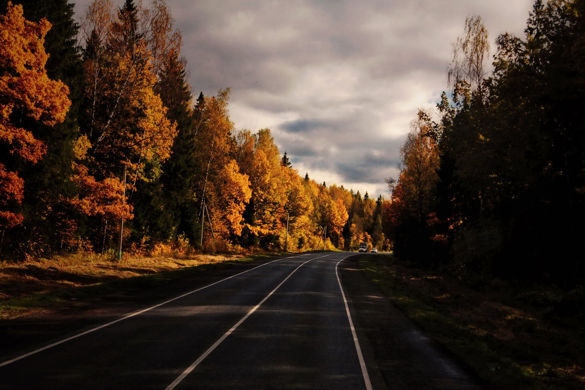 autumn landscape - Alice 