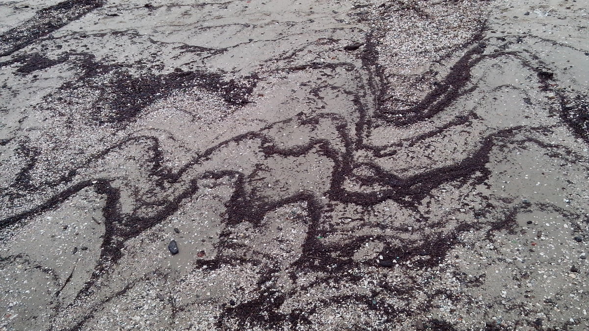 Море рисует на песке - Ирина Л