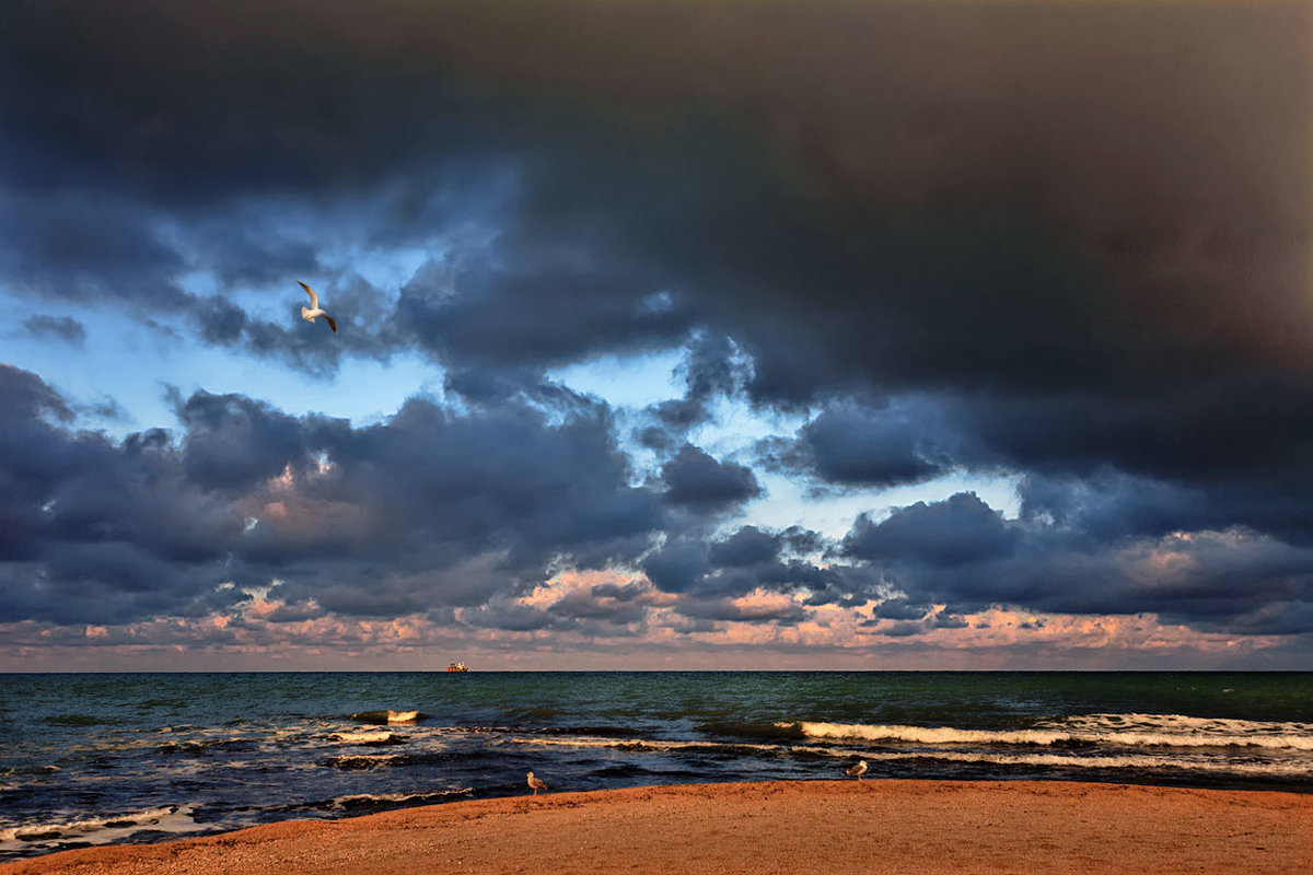 Утро на море - Виктор Мороз