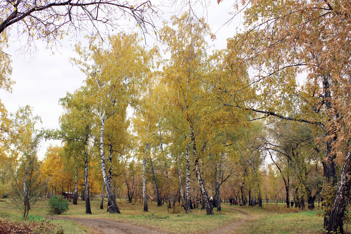 Осень - раиса Орловская