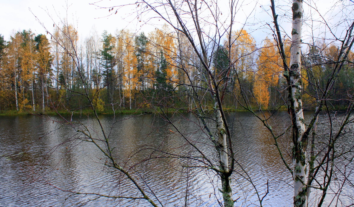 ОСЕНЬ В КАРЕЛИИ - Николай Гренков