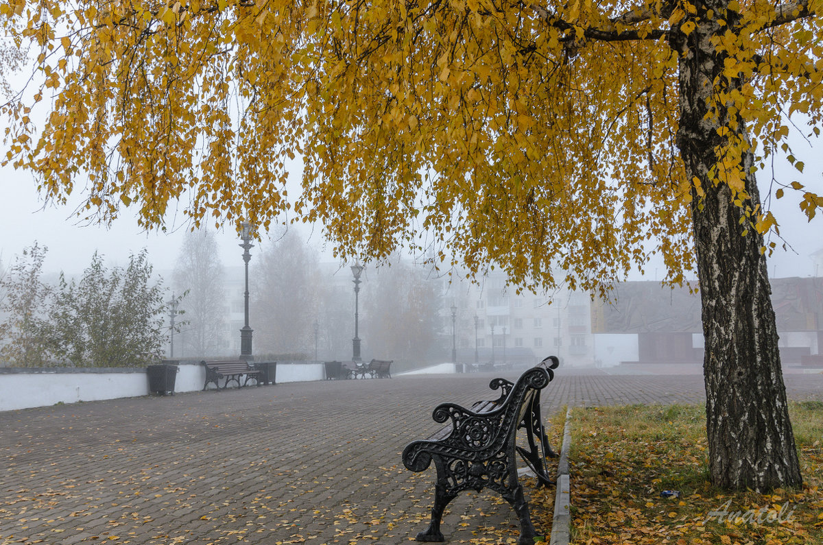 Осень - Анатолий 