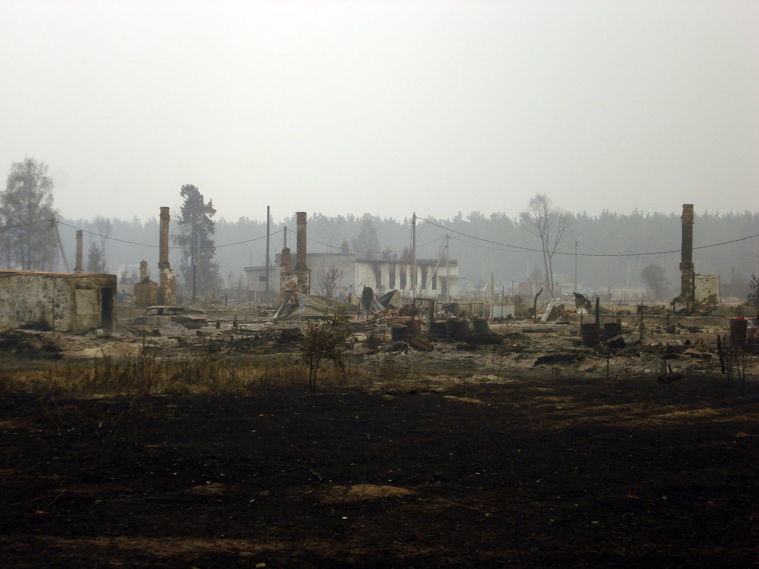 Природные пожарища Рязанщины. 4 августа 2010 г. - Николай Варламов