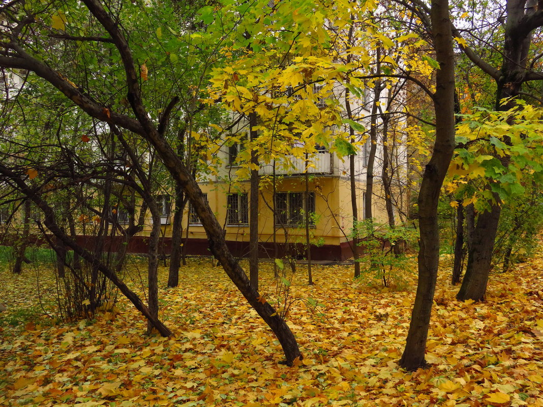 Экватор осени в городе - Андрей Лукьянов