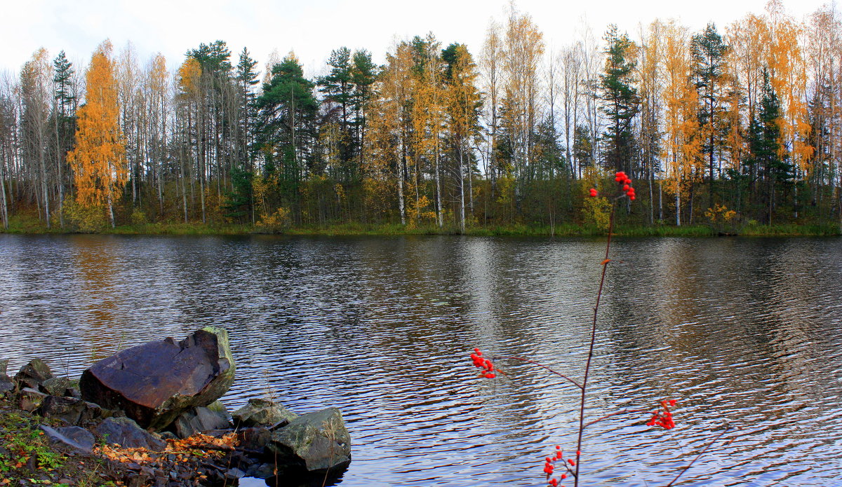 Осень в Карелии - Николай Гренков