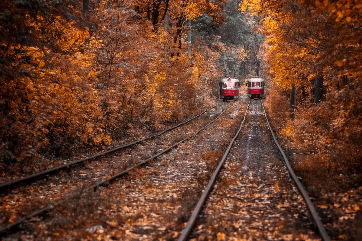 ... - Cлава Украине 