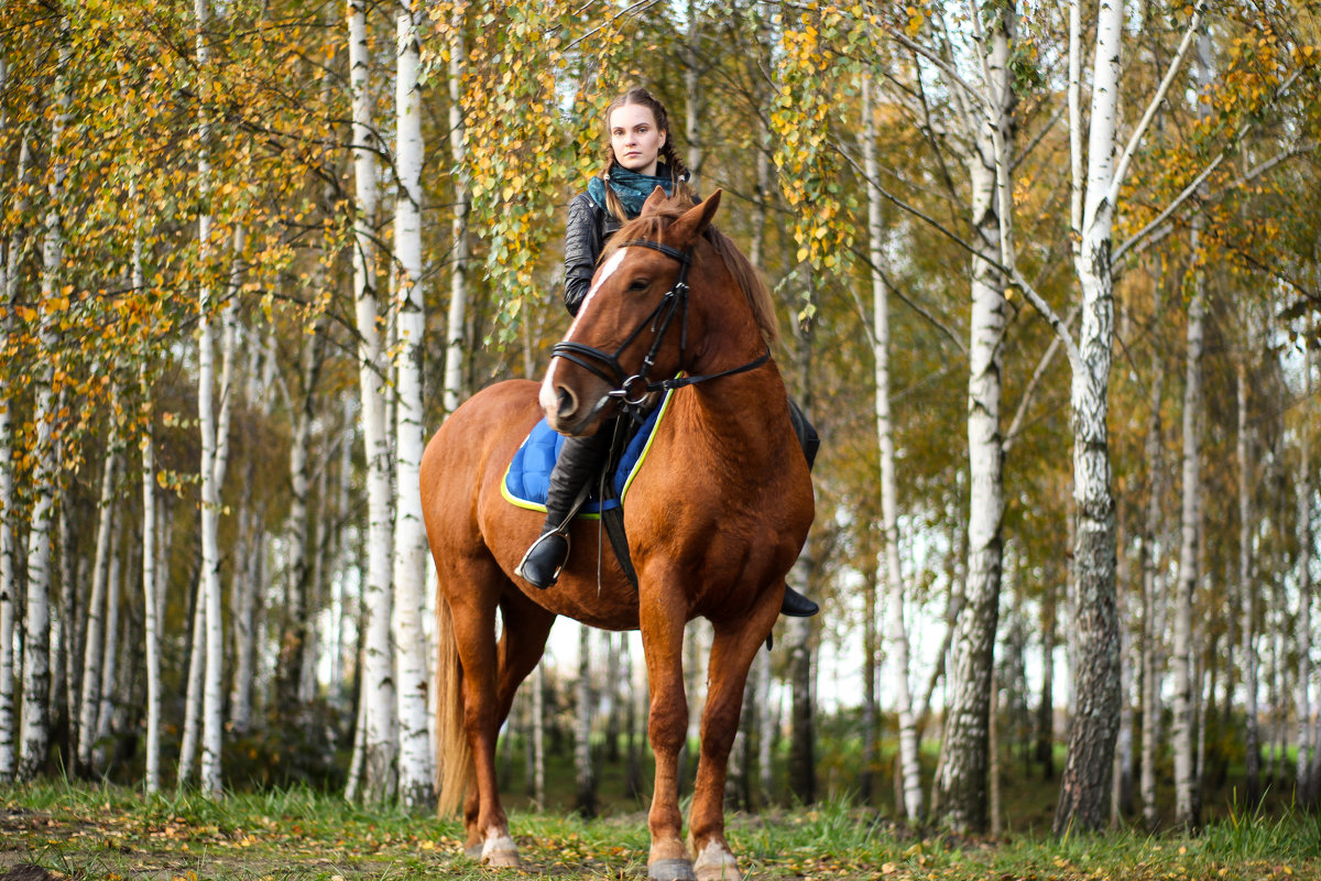 на коне - Yana Odintsova