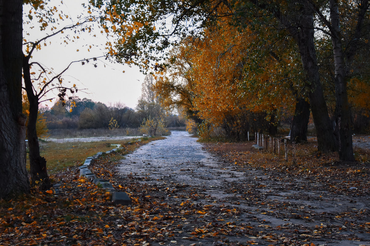 осень - Сергей К.