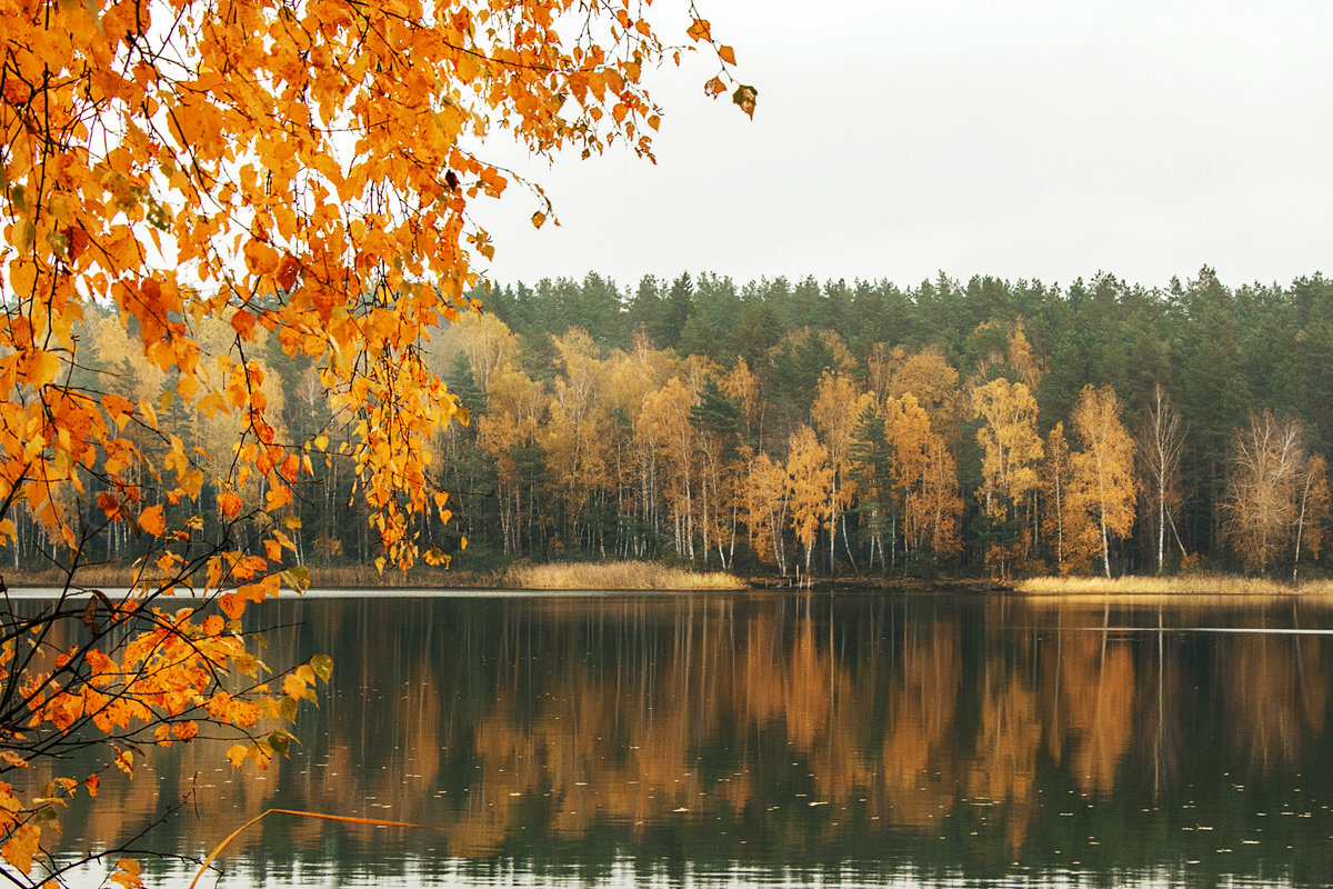 Осень на озере - Татьяна Баценкова