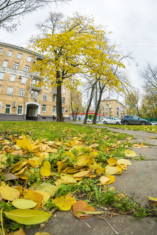 Москва, ул. Марины Расковой - Игорь Герман