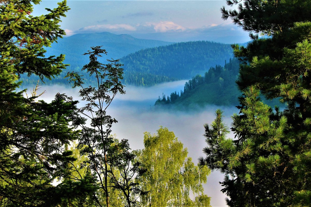 Туман в речной долине - Сергей Чиняев 