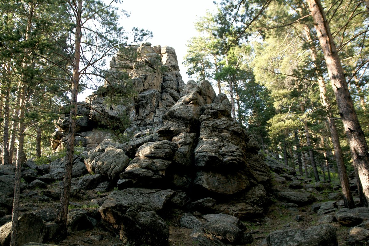 дворцы забайкальский край