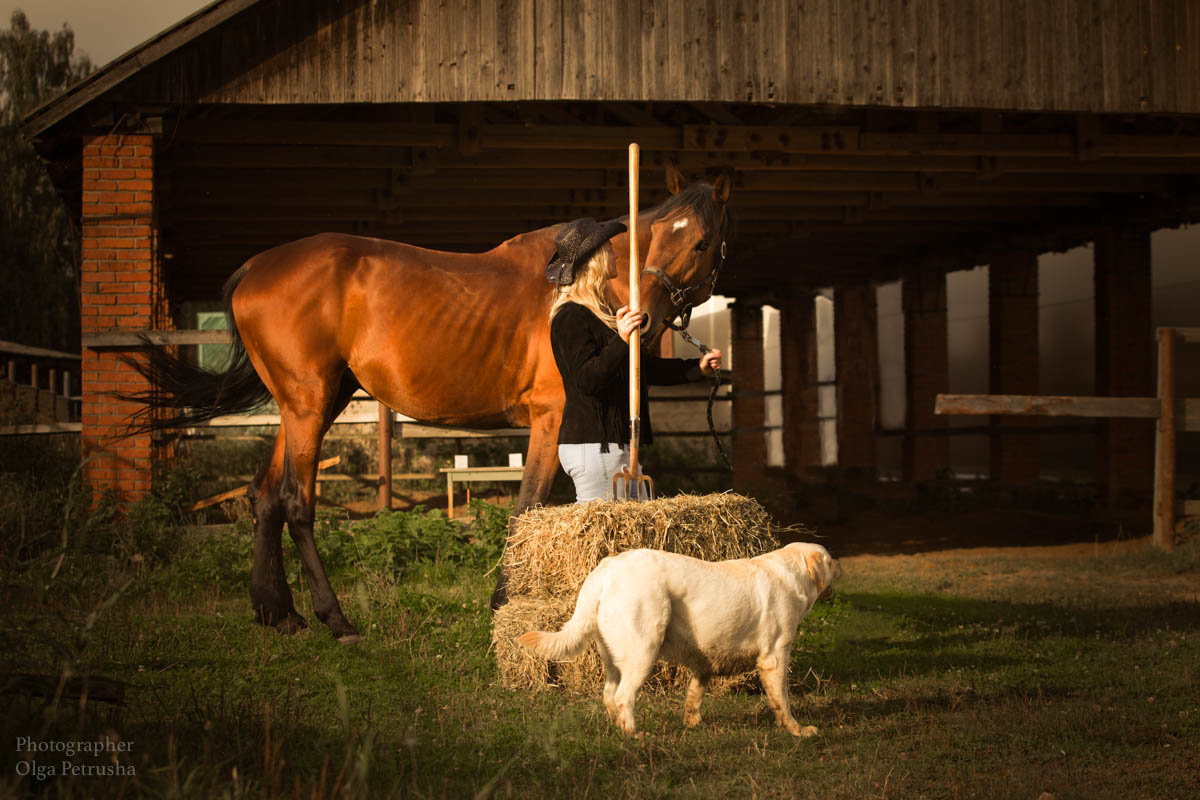 Фотопрогулки на лошади - Ольга Петруша