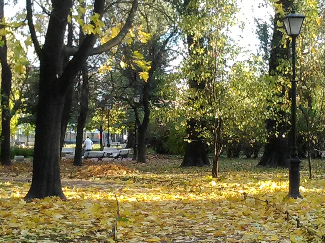Осень в парке Сан-Гали. (Петербург, октябрь 2017 год). - Светлана Калмыкова