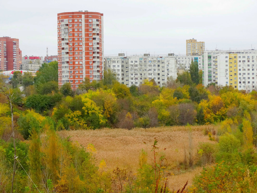 Октябрь,городской пейзаж... - Тамара (st.tamara)