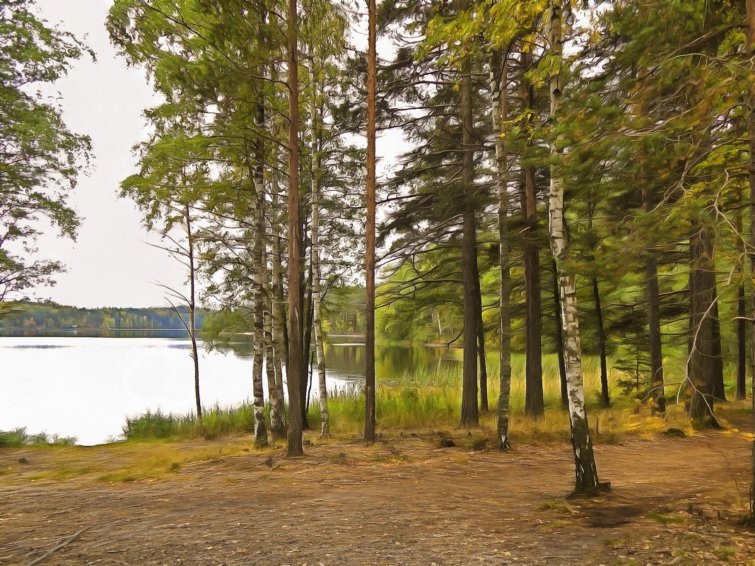 Страна Suomi. Озеро Сайма. - Лариса (Phinikia) Двойникова