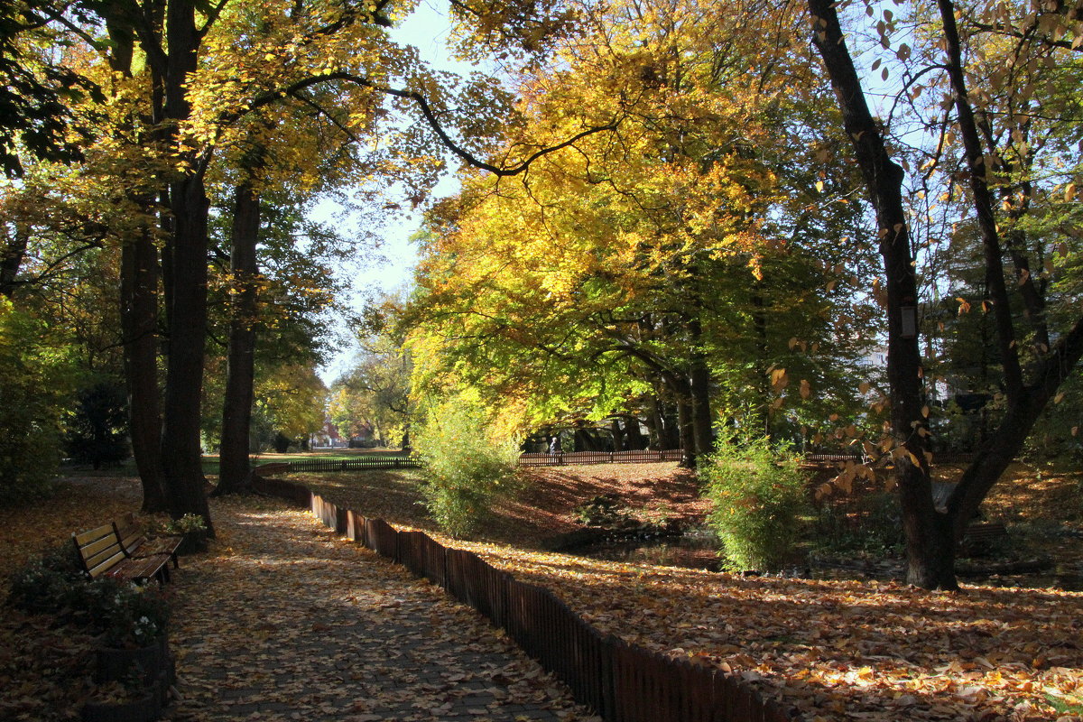 PARK.. - Эдвард Фогель