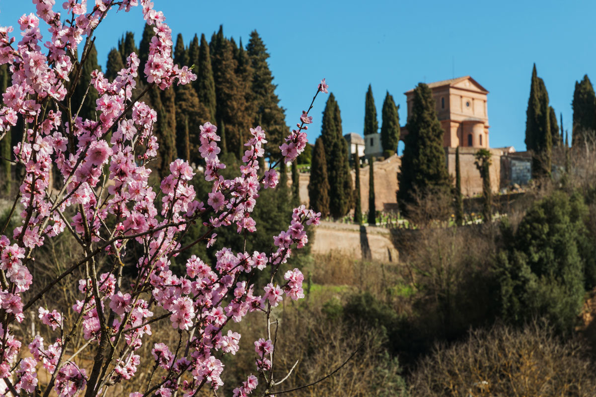 Весна в Тоскане - Надежда Лаптева