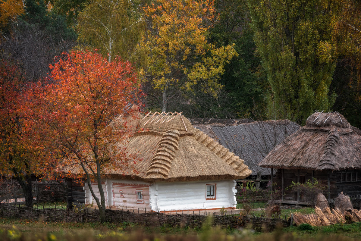 ... - Cлава Украине 