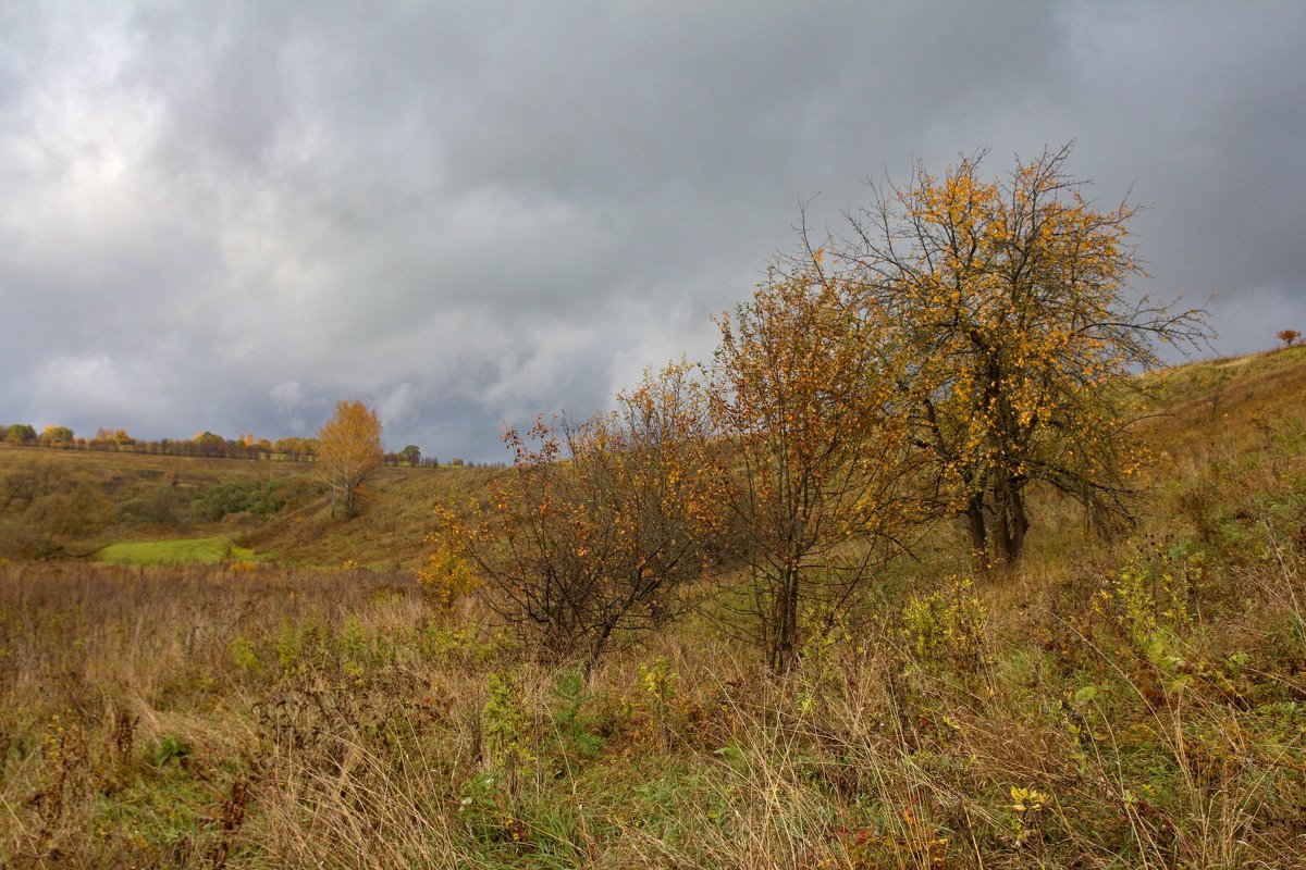 Осень - Константин 