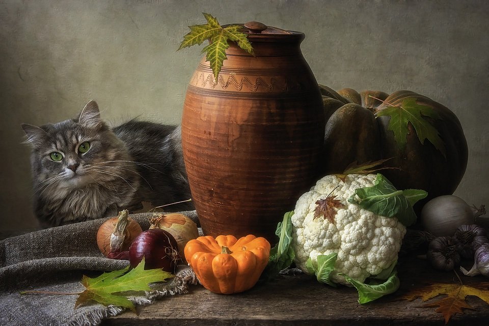 Живое дополнение к овощному натюрморту - Ирина Приходько