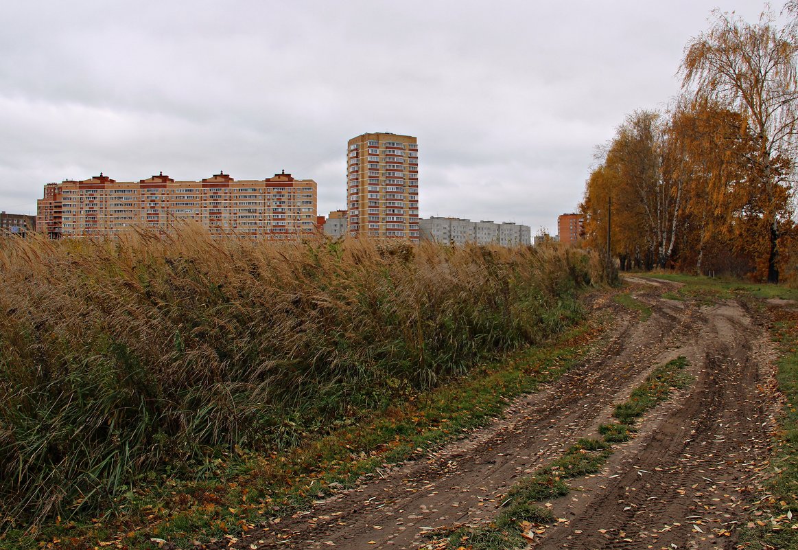 Хмурый осенний день - Лара (АГАТА)