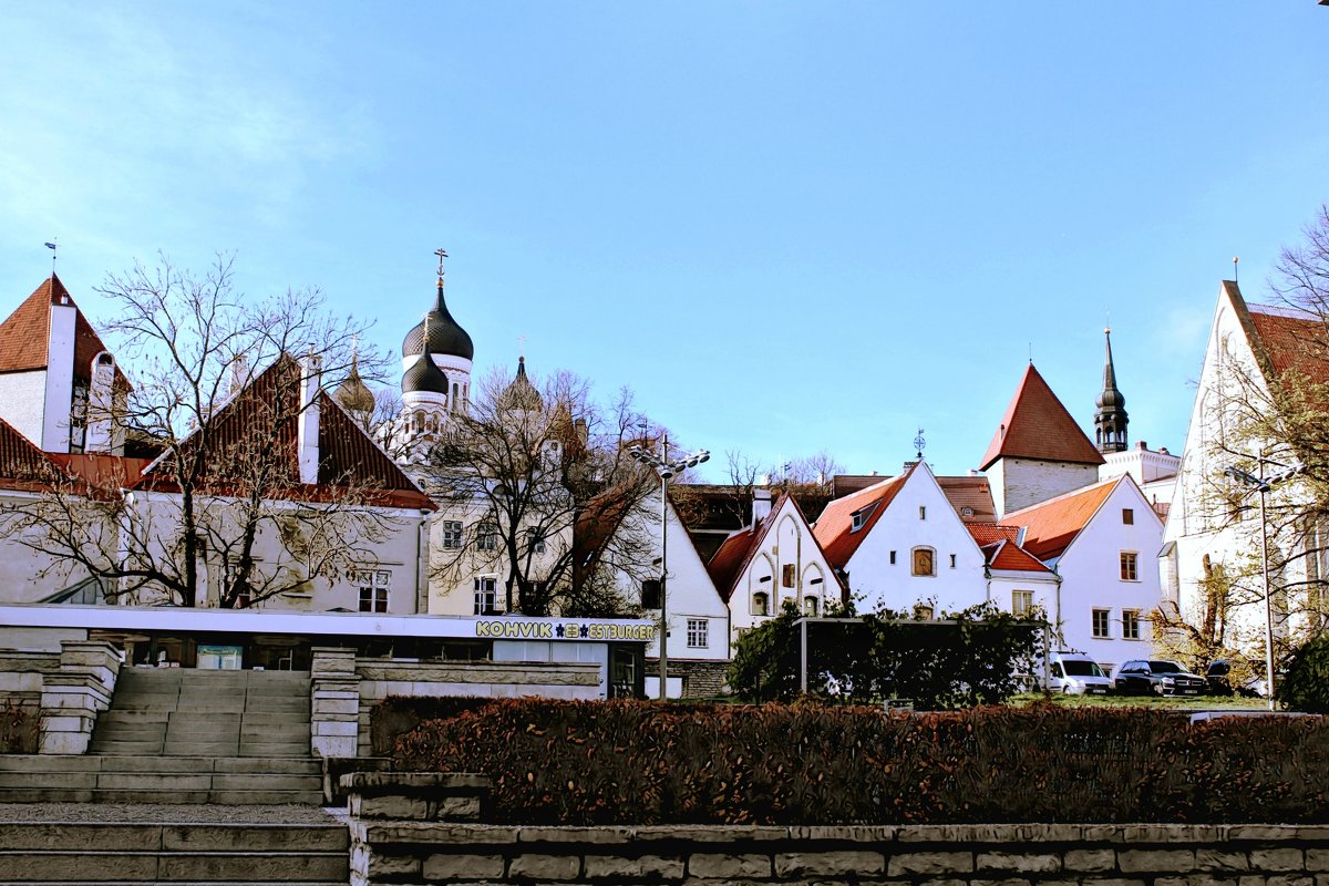 Tallinn - Marina Pavlova