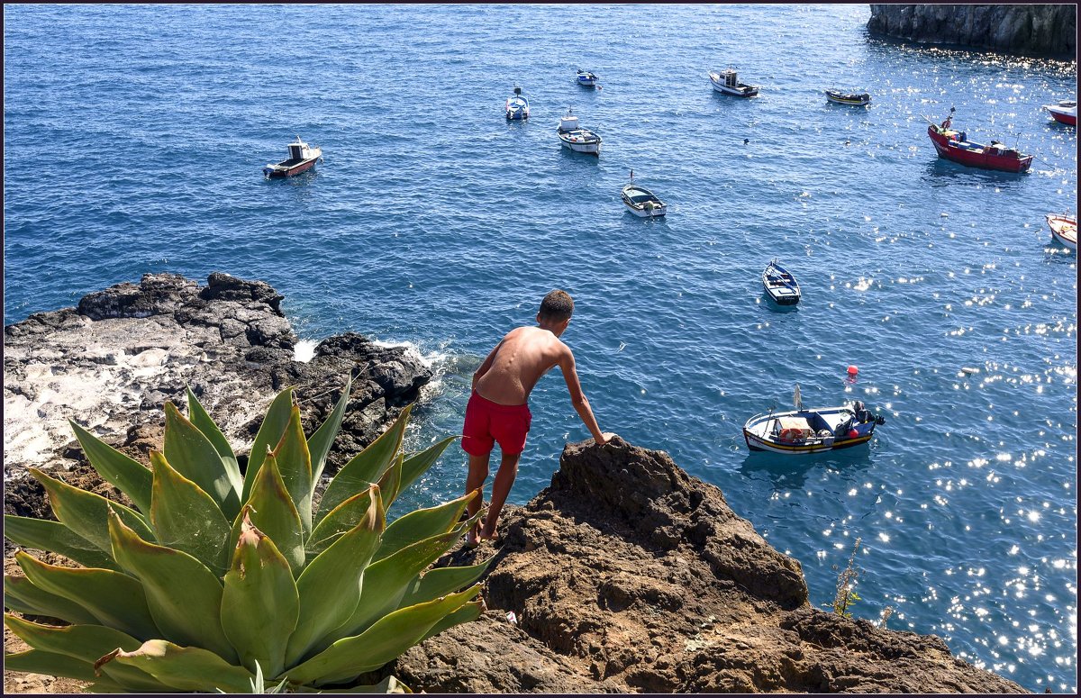 Madeira, Camara de Lobos. - Jossif Braschinsky