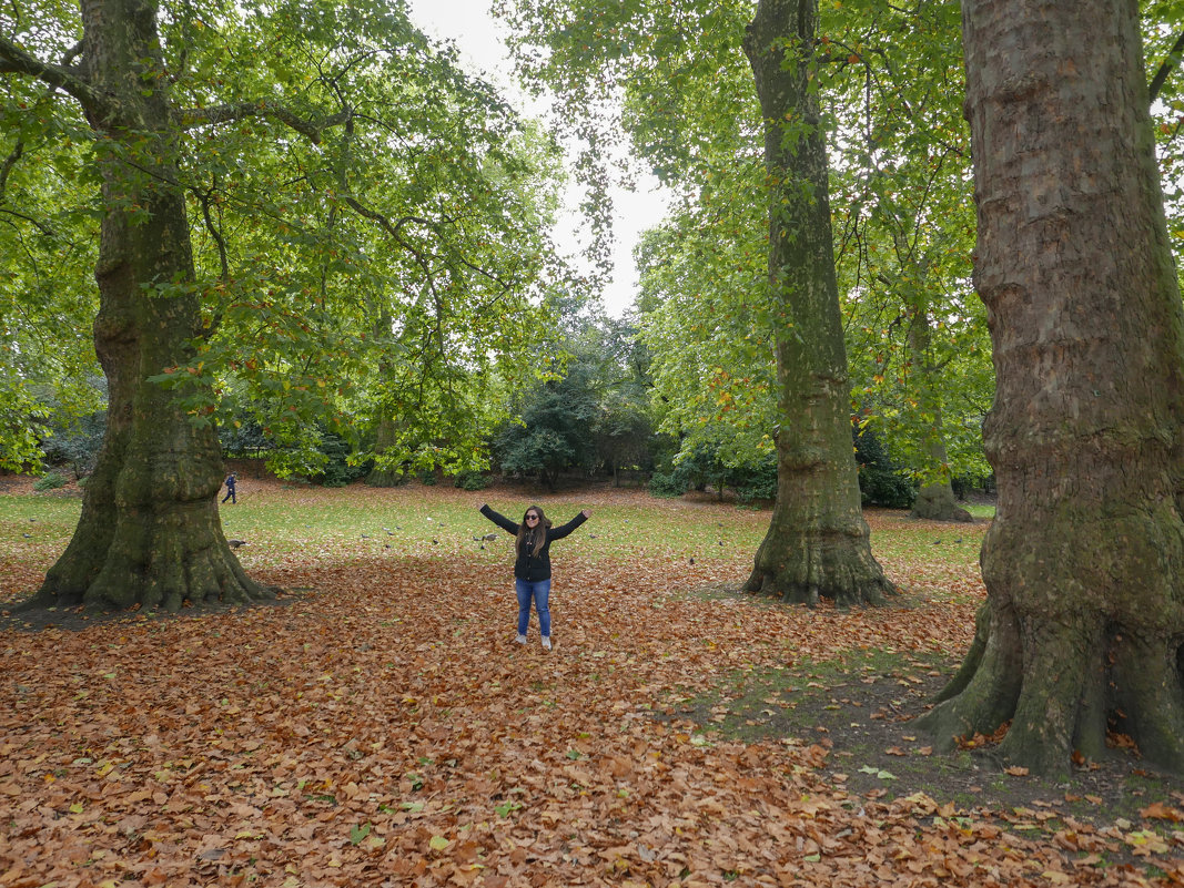 London. St.James park - Павел L