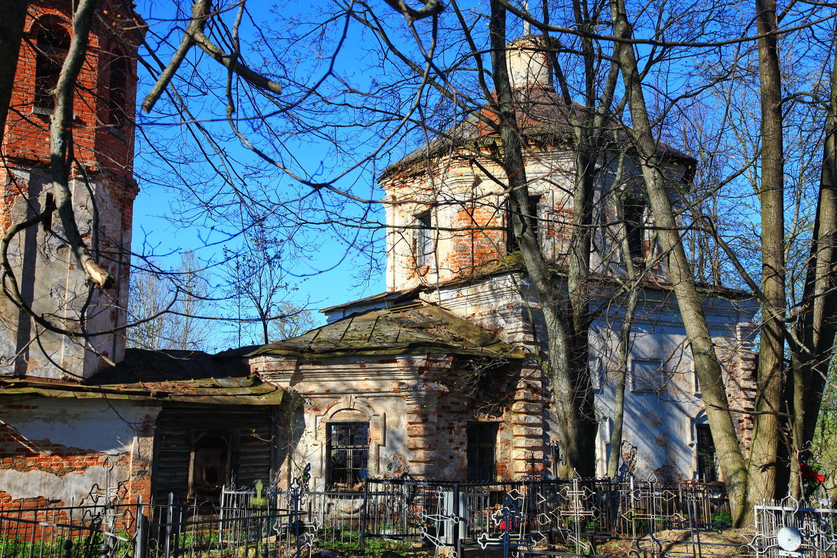 деревня Романщина, Лужский район - Александр 