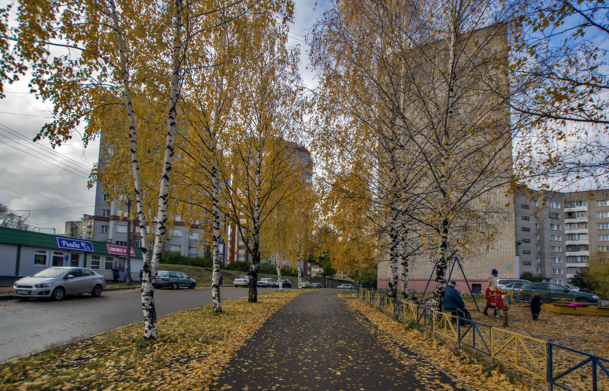 в городе осень - gribushko грибушко Николай