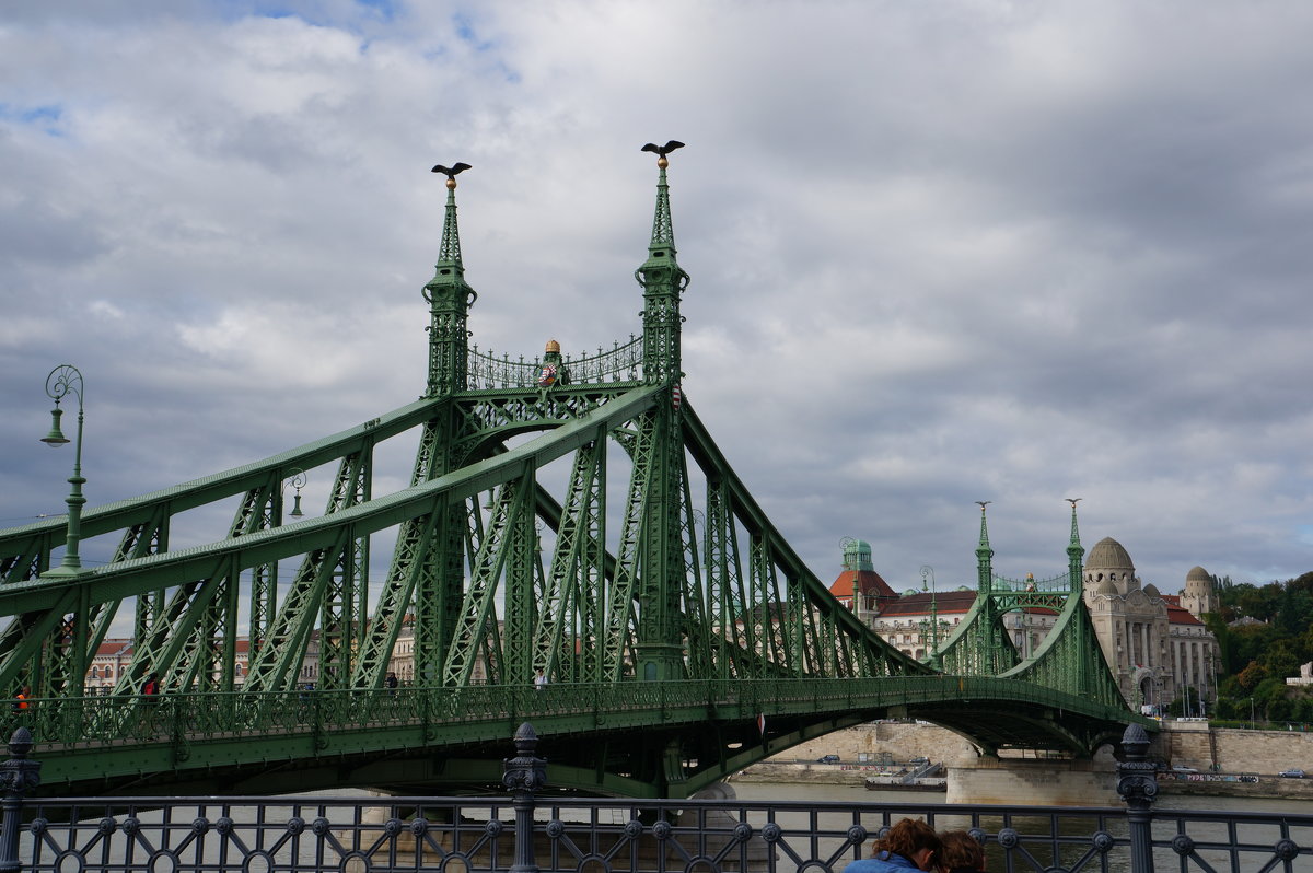 Мост Свободы.  Будапешт - Алёна Савина