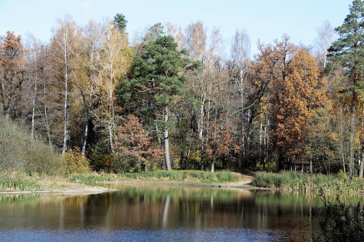 Осень - Владимир Холодницкий