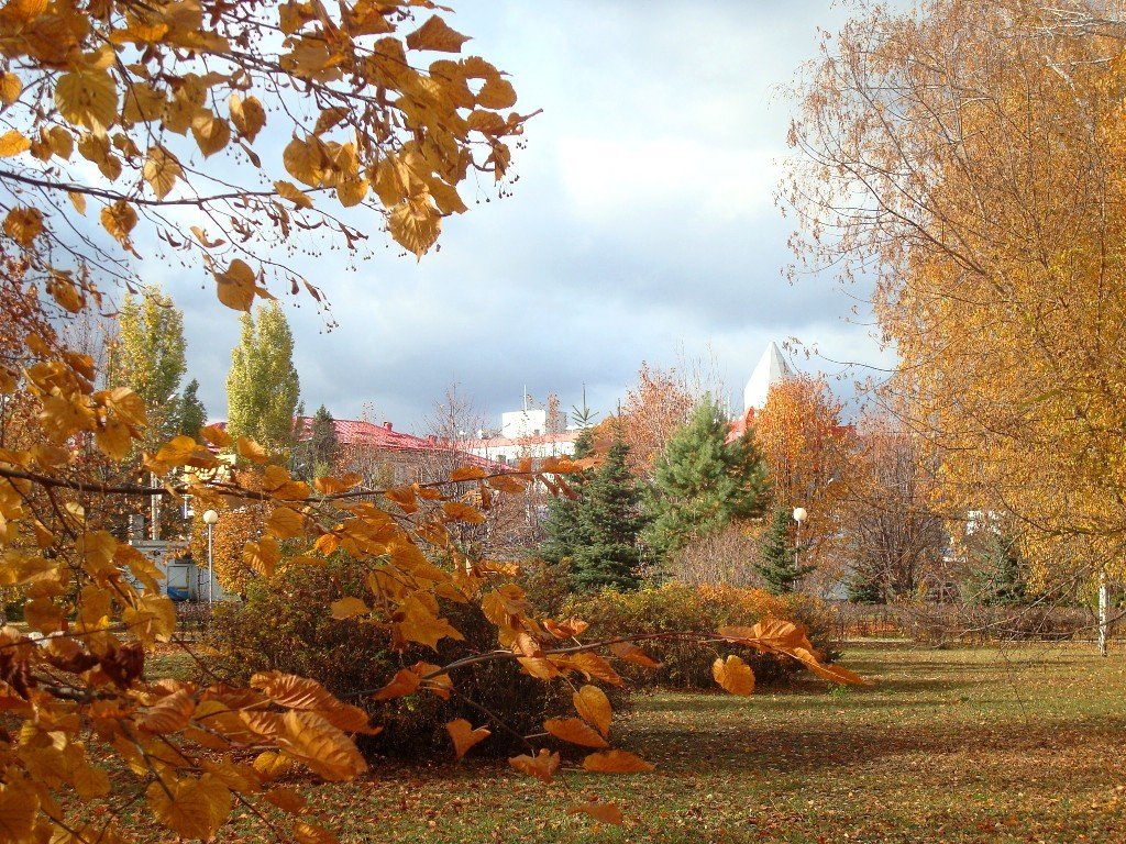 Осень в парке Тольятти - Стас Борискин (STArSphoto)