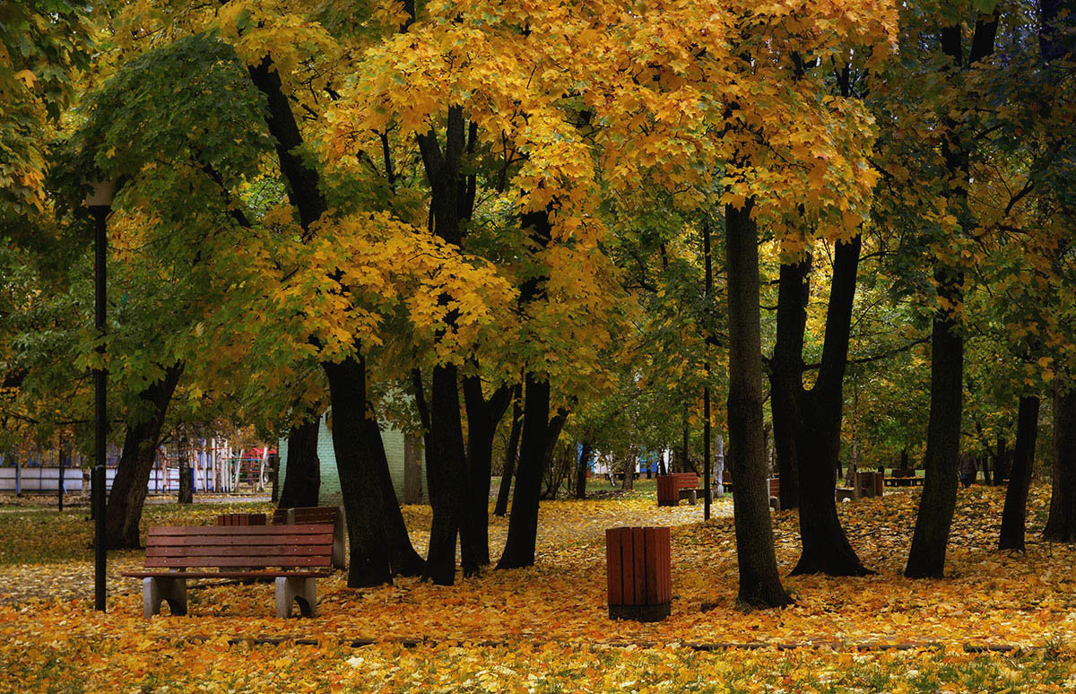 Москва сквер осень