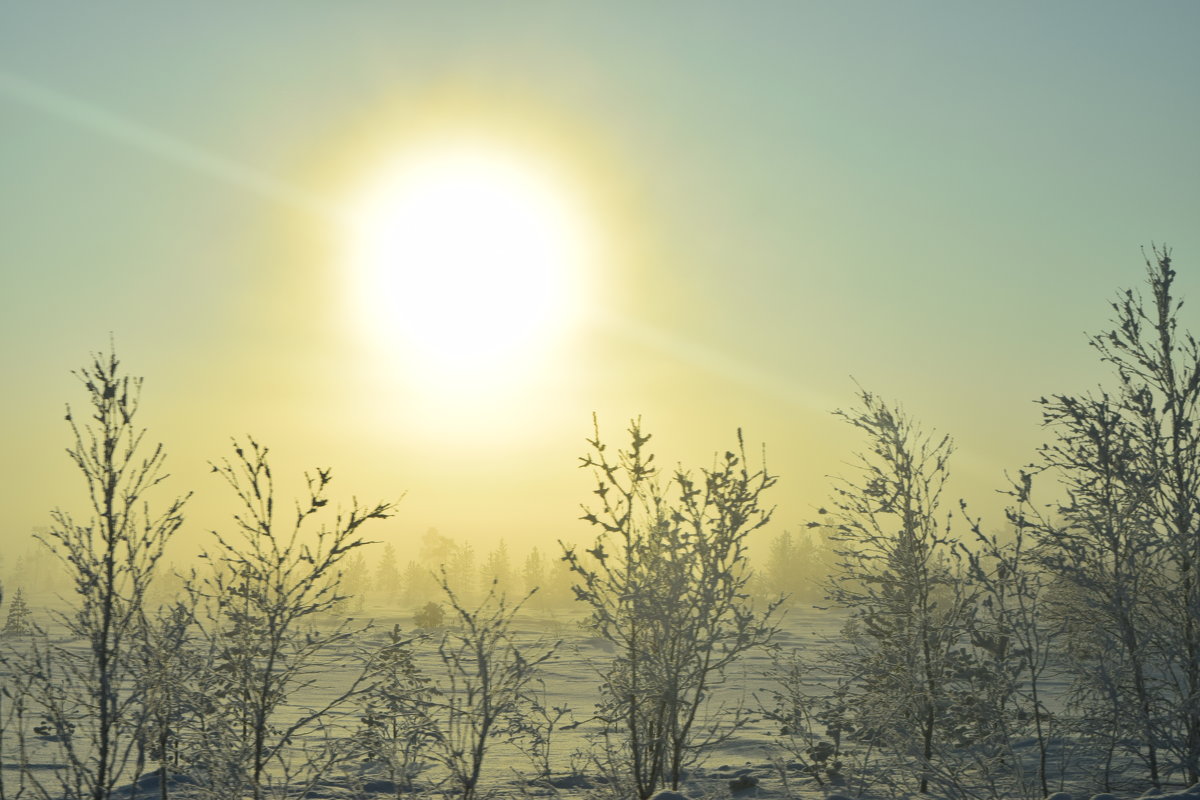 Солнце и туман - Артём Глушко