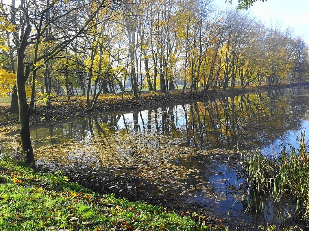 Парк Южный в ноябре - Маргарита Батырева