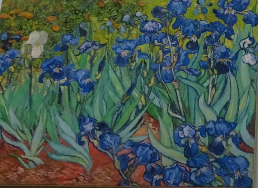 Выставка Ван Гога в Ростове-на-Дону (Компьютерное искусство) - татьяна 
