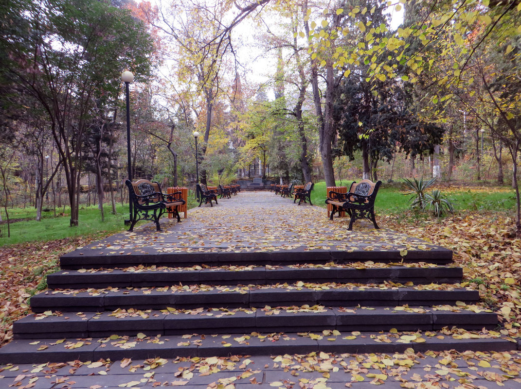 Осень в парке - Наталья (D.Nat@lia)