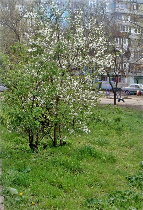 Зима совсем рядом, а вот до весны ещё топать и топать.. - Нина Корешкова