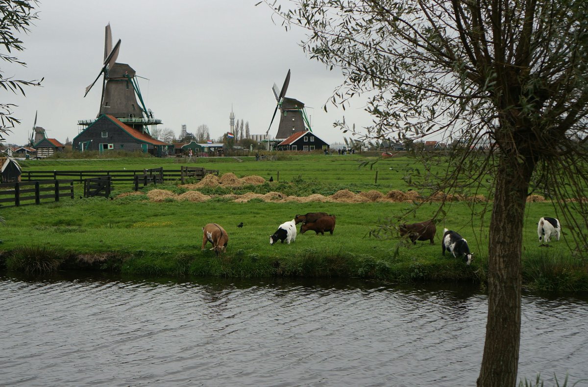 Голландская деревня - IURII 