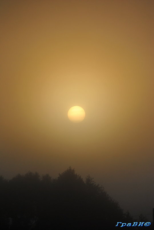 Это наше ли солнце в тумане? - © ГраВИ