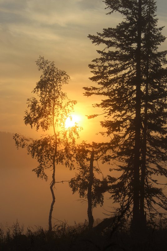 Утром солнце восходит в тумане - Сергей Чиняев 