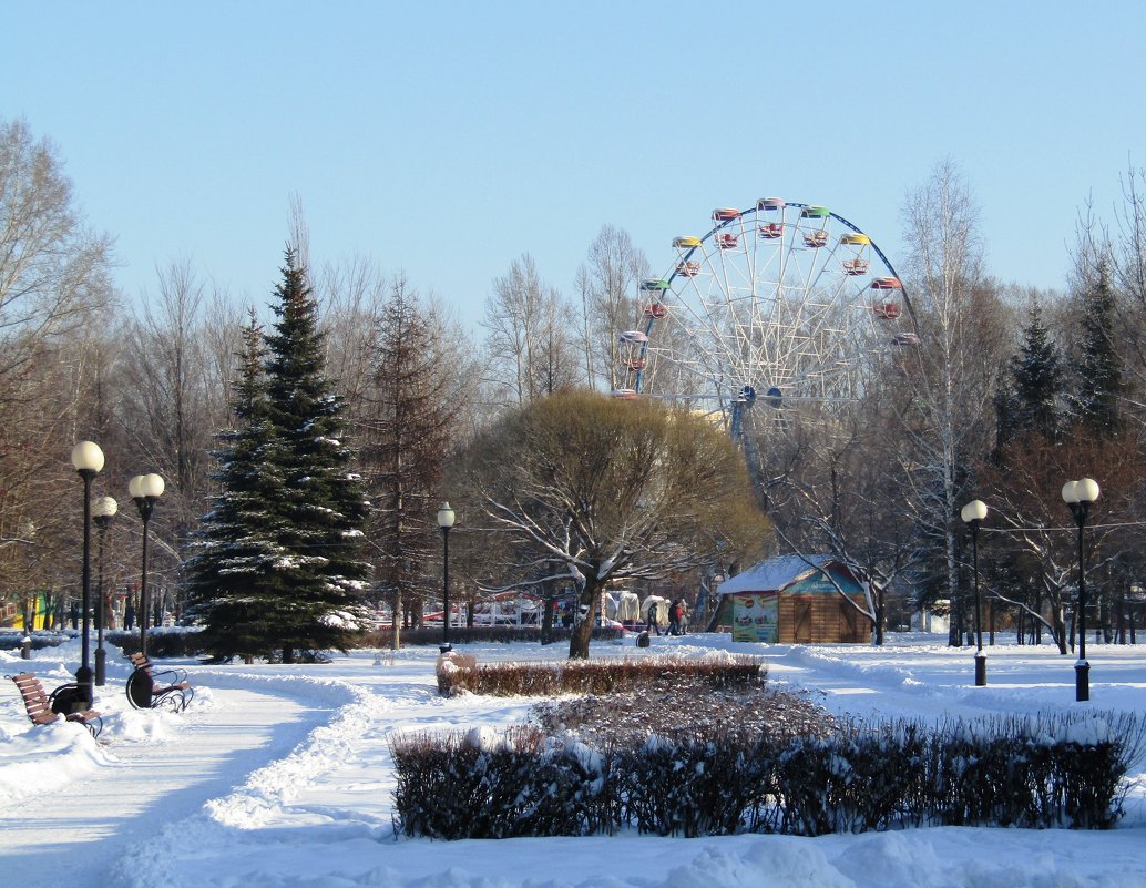 Зима в городском парке - Galaelina ***