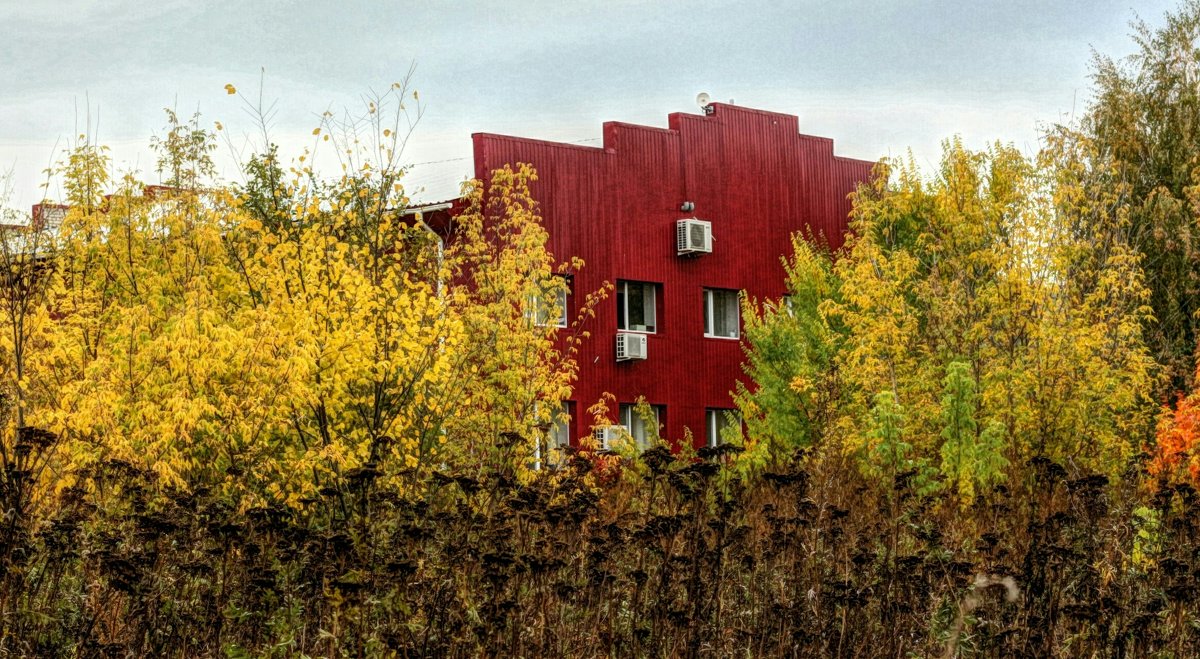 Красный фасад за пижмовой поляной - Ирина Сивовол