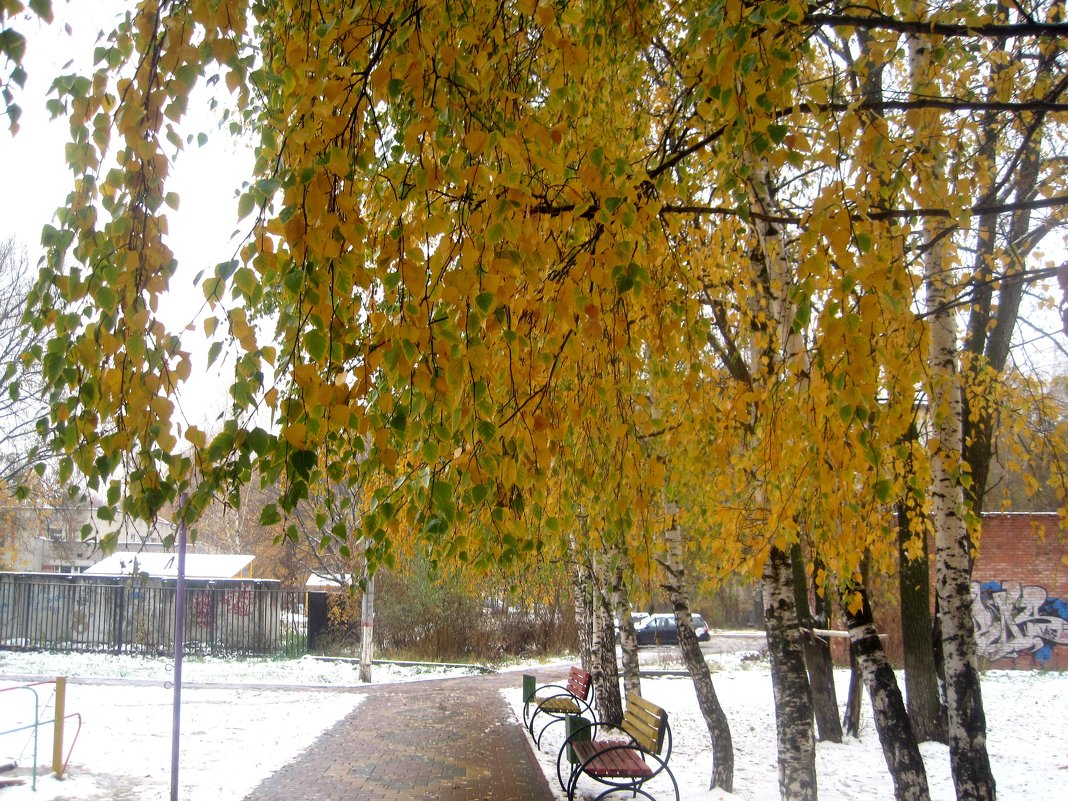 Зима пришла в золотую осень - Елена Семигина
