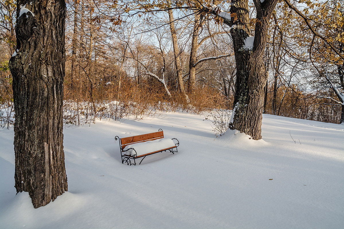 Под снежным пологом - Андрей Поляков