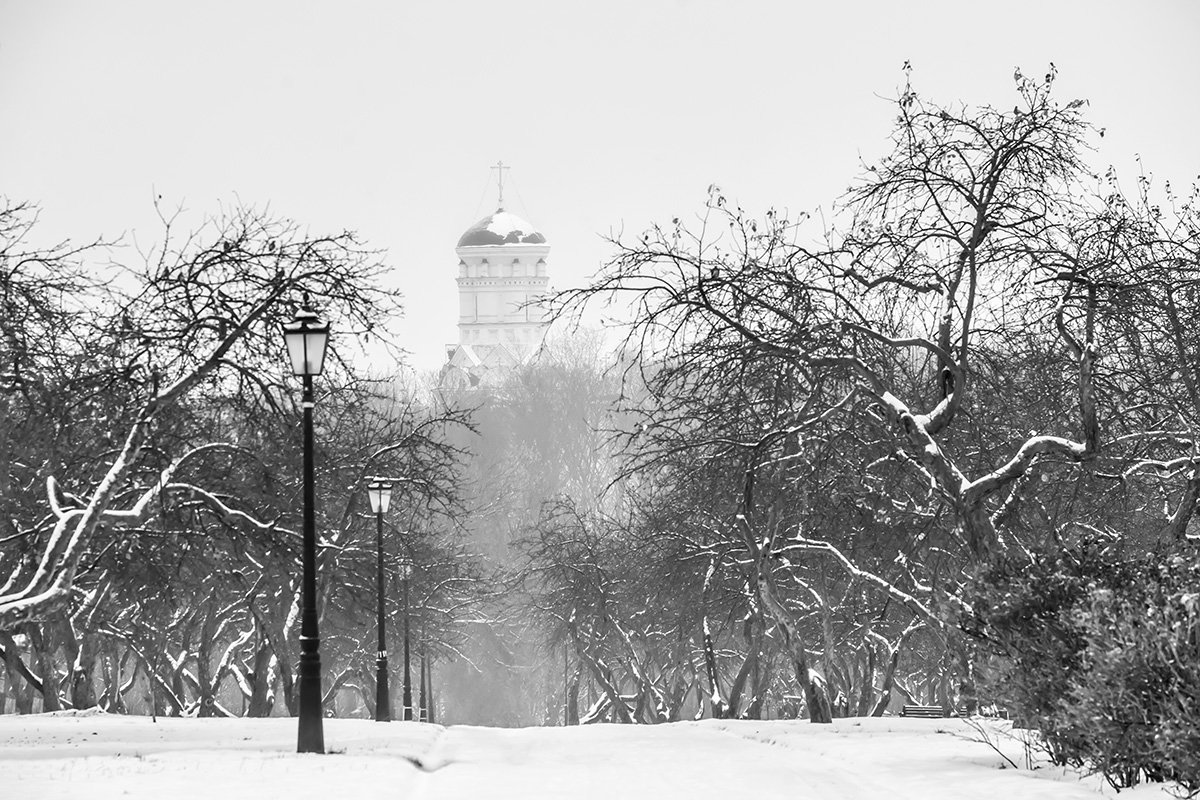 Москва. Коломенское. Декабрь. - Игорь Герман