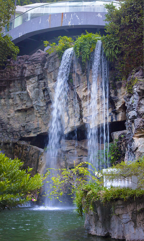 Водопад в парке Гонконга - Анатолий Иргл