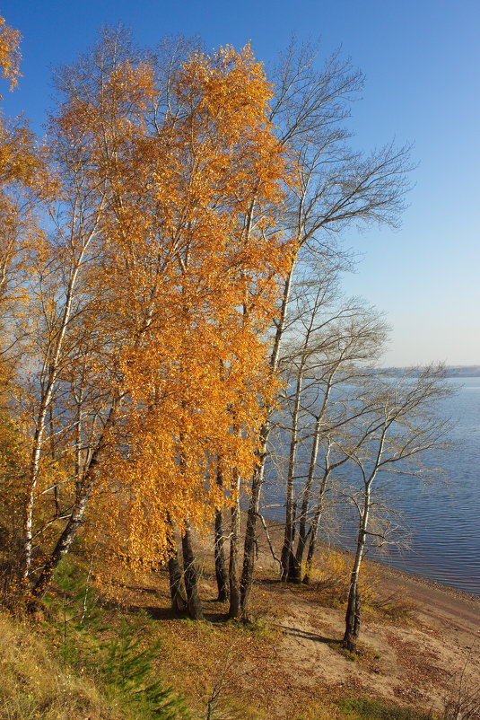 *** - val-isaew2010 Валерий Исаев